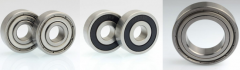 Which special environment can be used for stainless steel bearings
